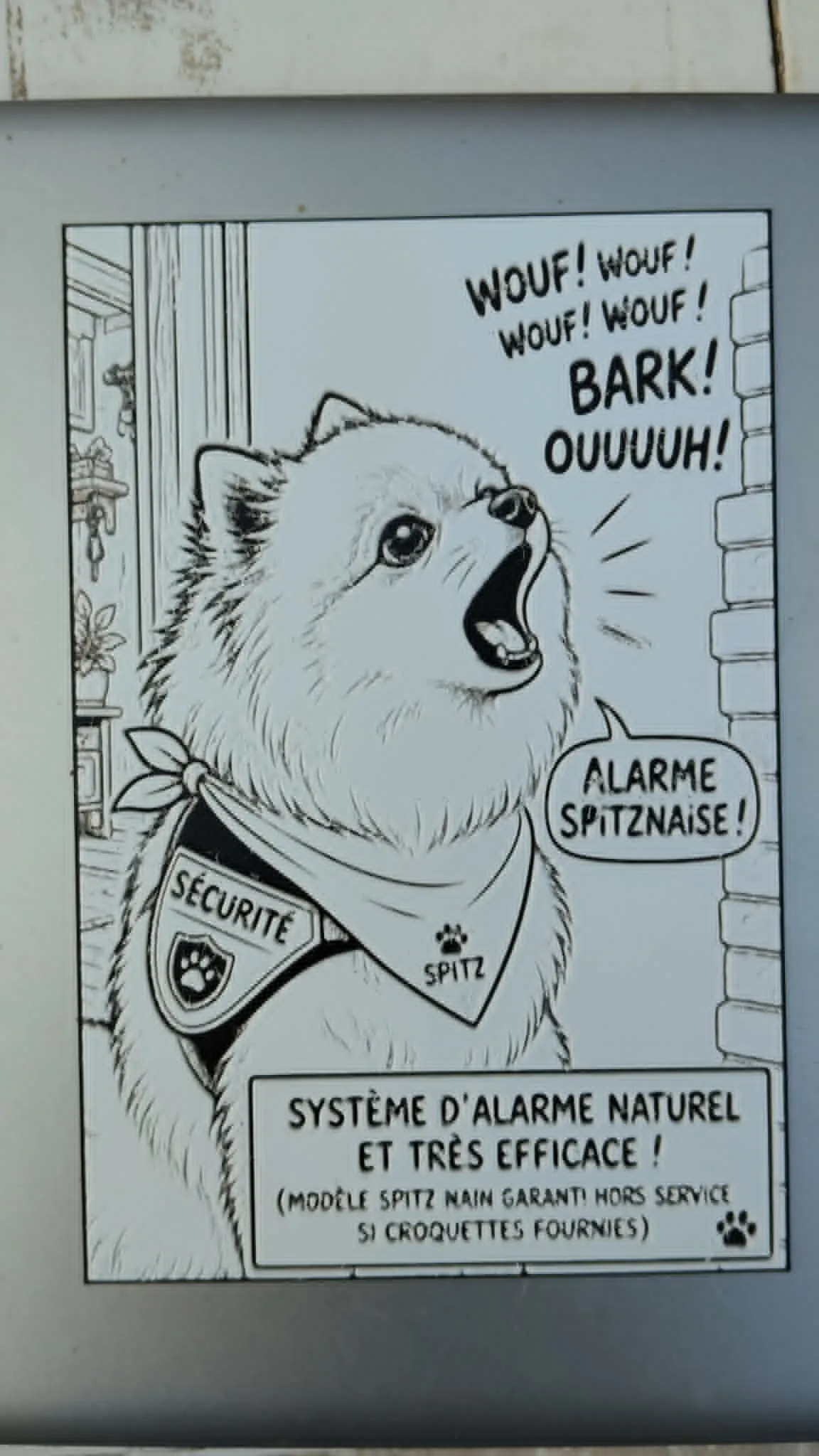 spitz ams non obligatoire