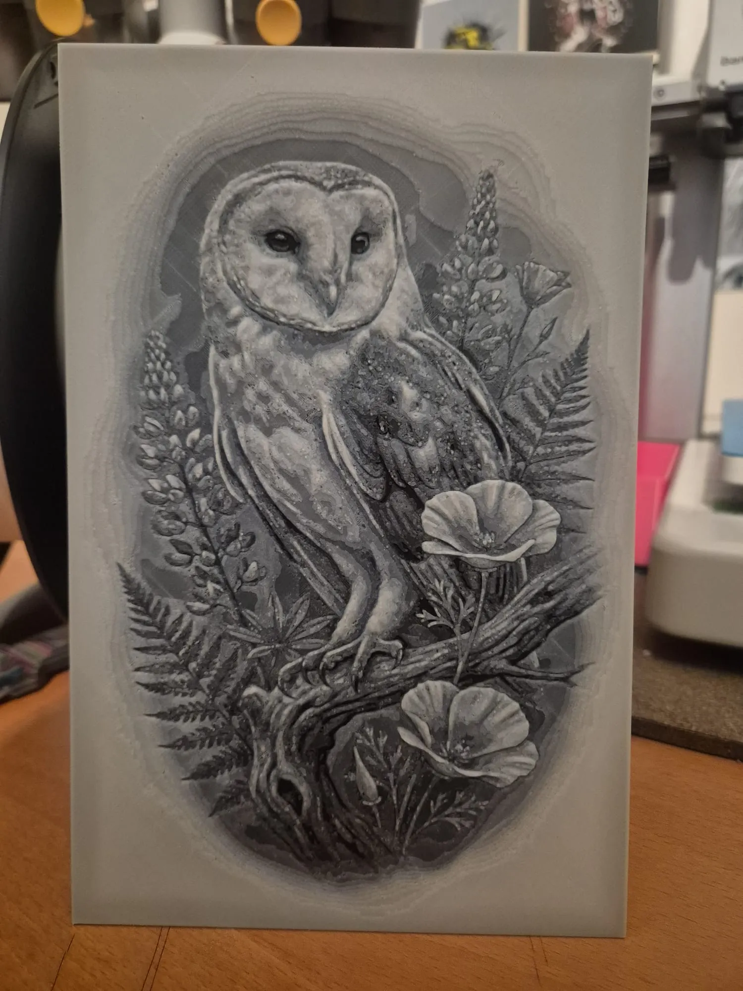 the owl