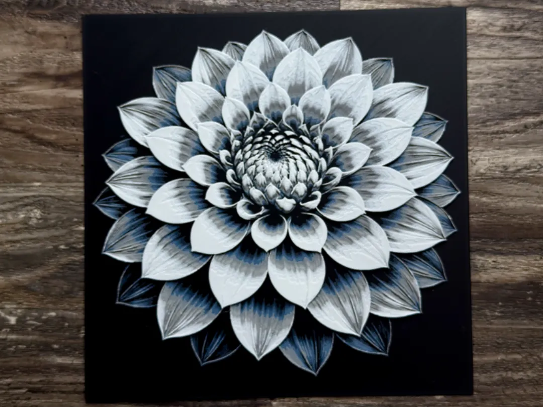Dahlia Flower Series