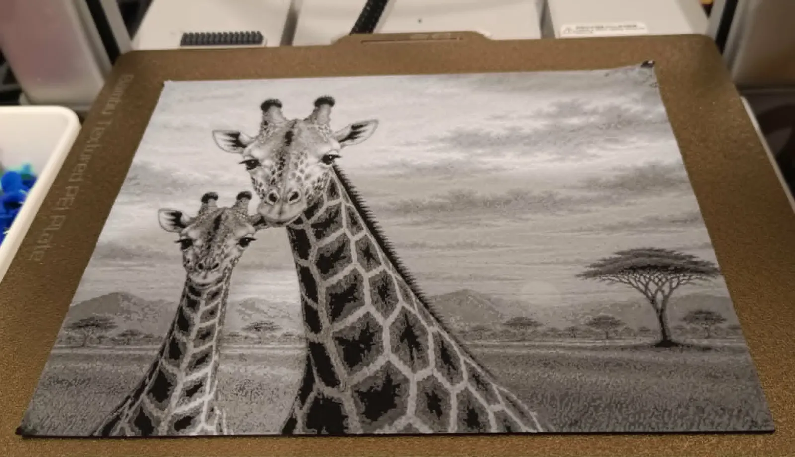 girafe et son petit