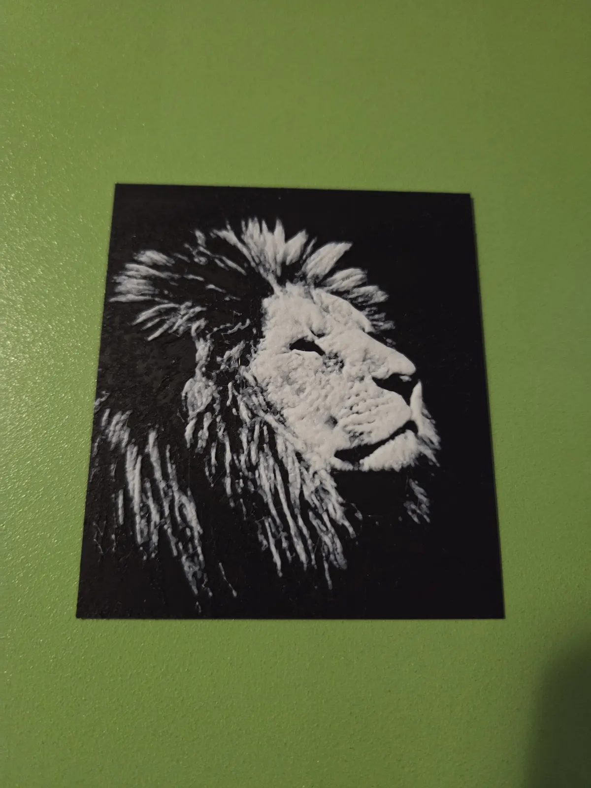 Zebra leopard Lion HueForge