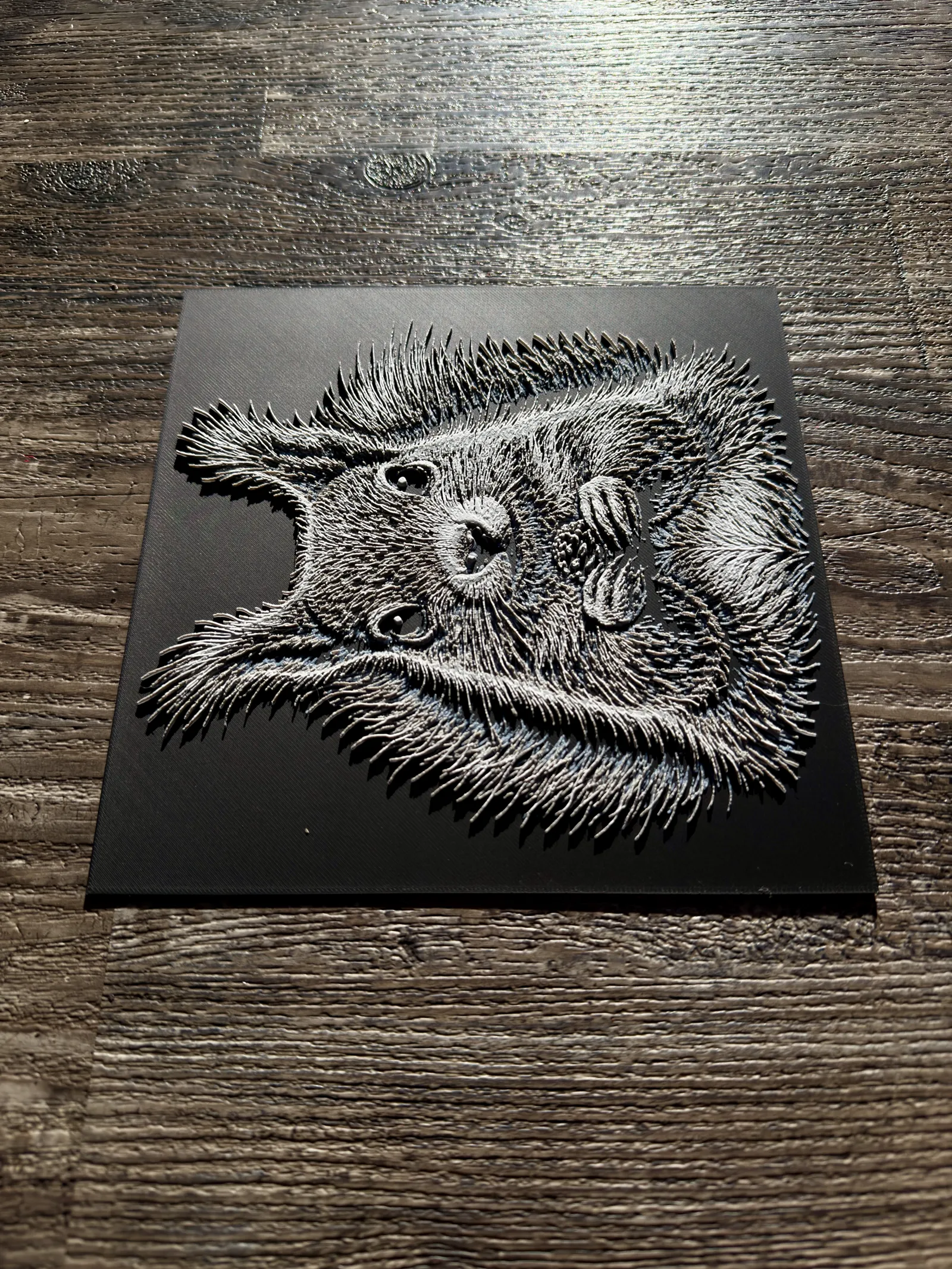 Squirrel Wildlife Series