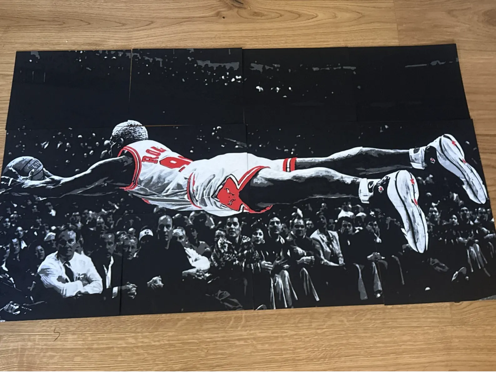 تابلو دیواری «Rodman Fly»