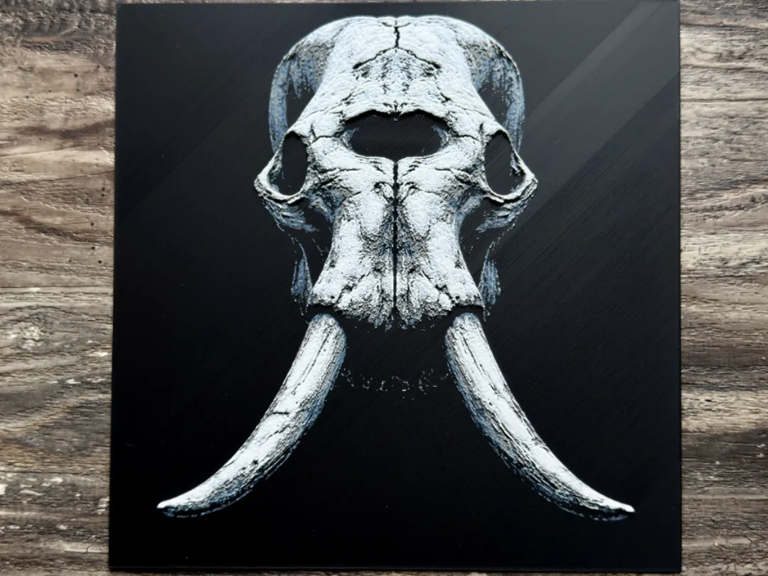 Elephant Skull Series