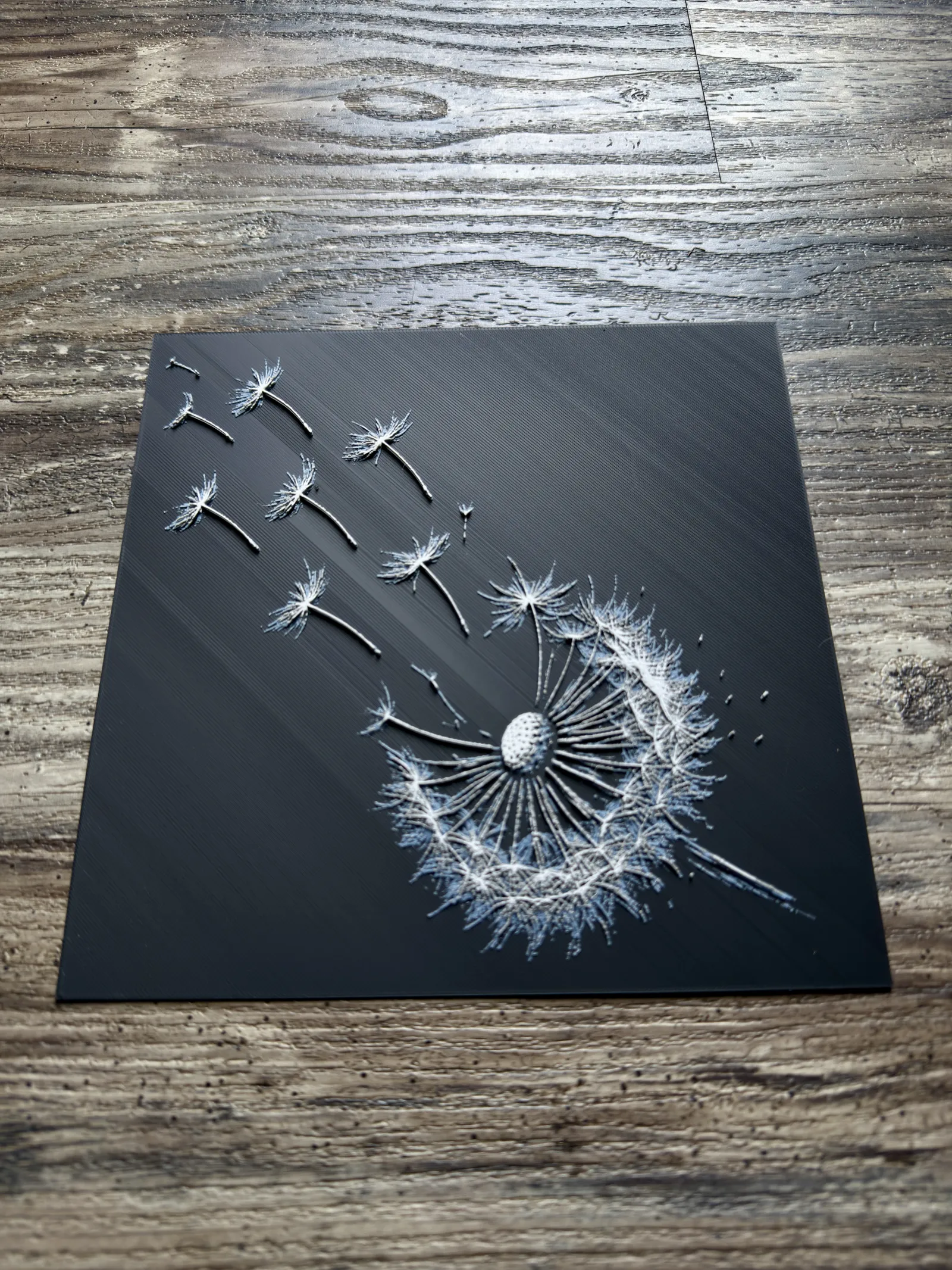 Dandelion Flower Series
