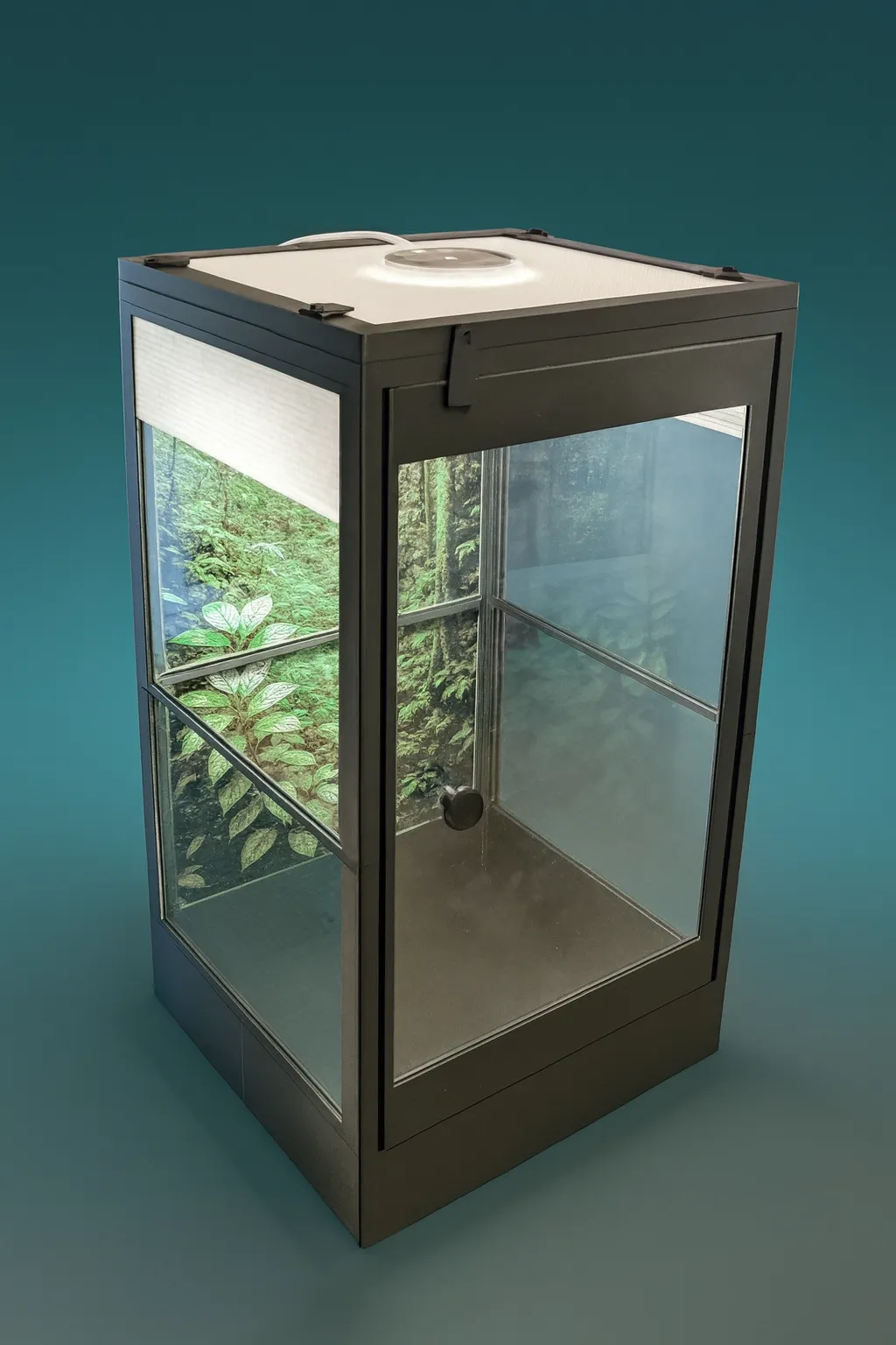 DIY Terrarium 235x220x430mm mit HueForge Rückwand