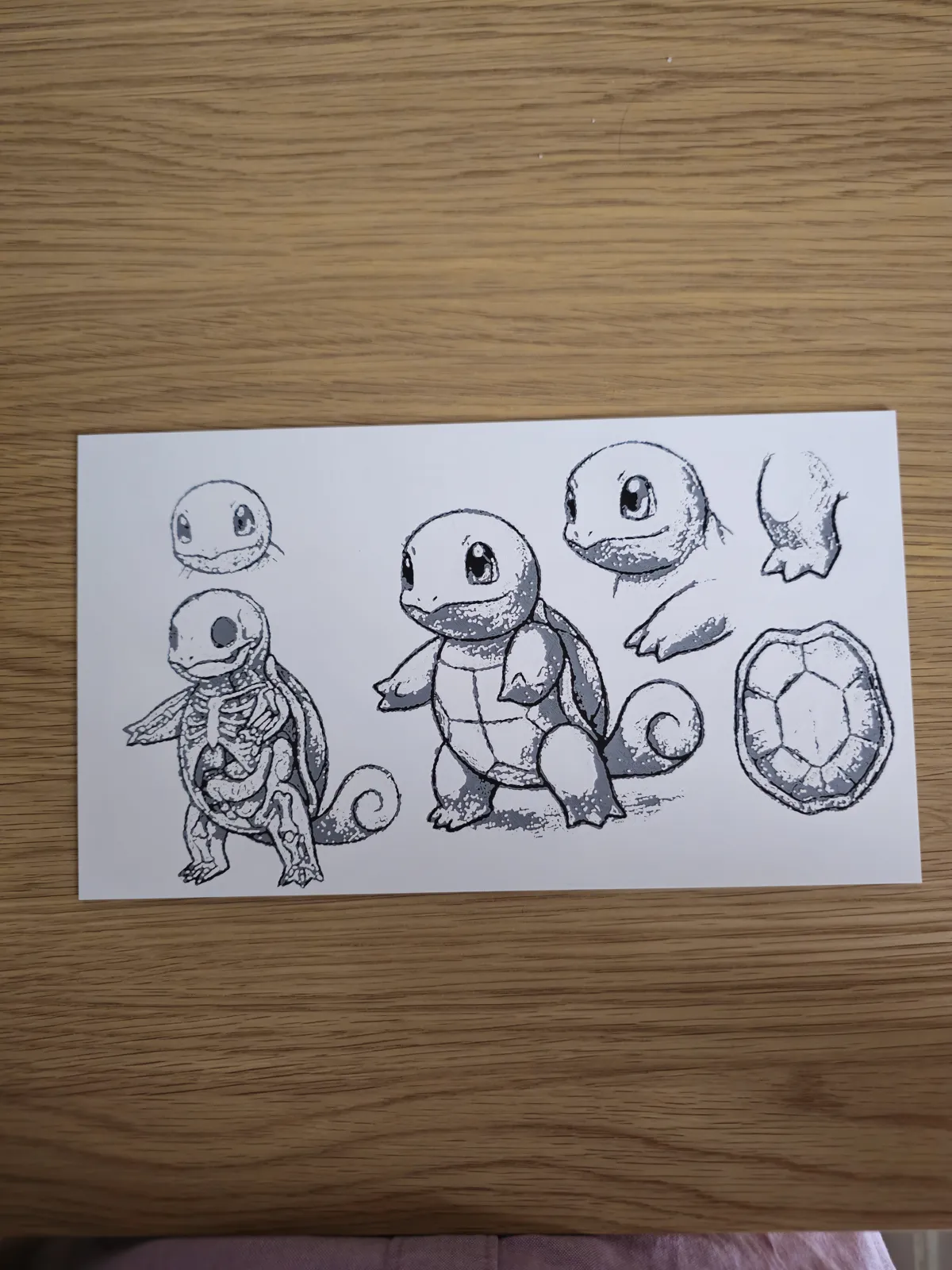 Squirtle field sketch (Kromacut)