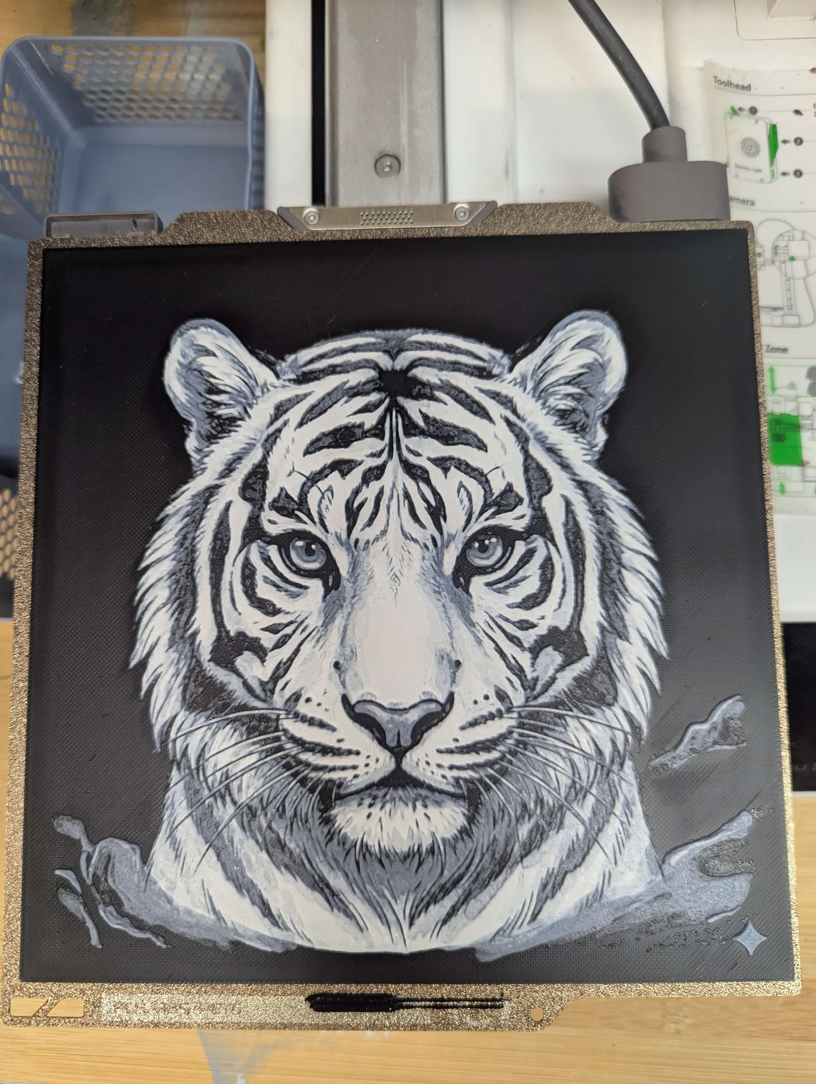 hueforge tigre tiger 1