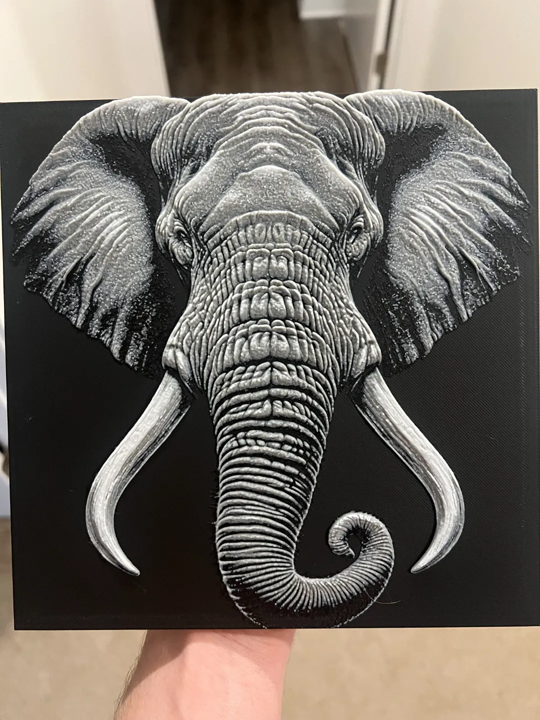 Elephant Face Wall Art
