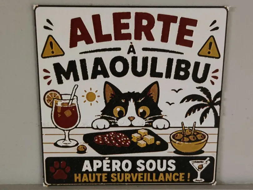 apero chat hueforge no ams requis