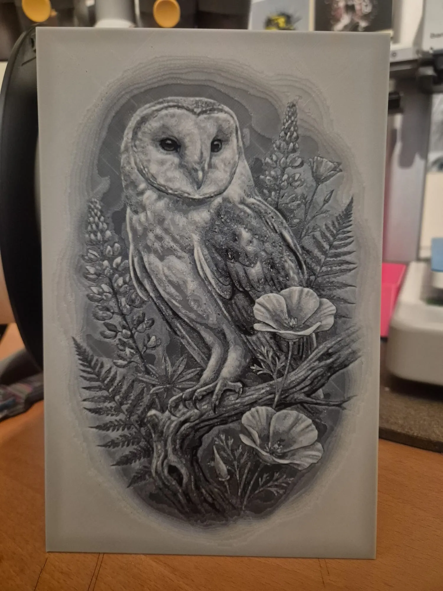 the owl