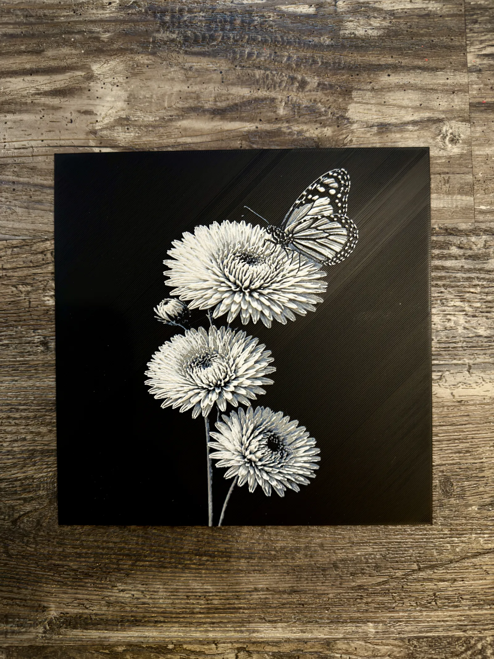 Aster with butterfly Flower Series