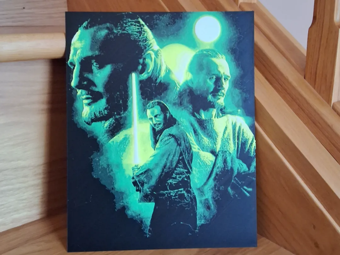Qui-Gon Jinn Wall Art