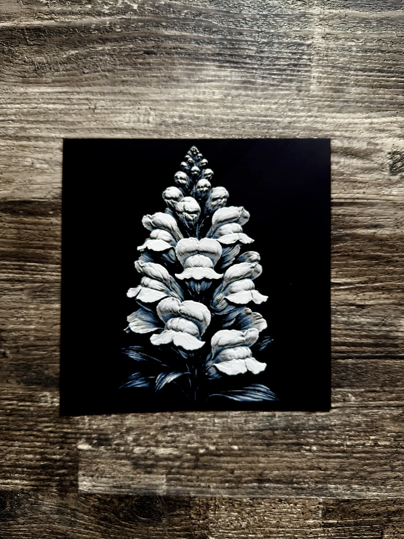 Snap Dragon Flower Series