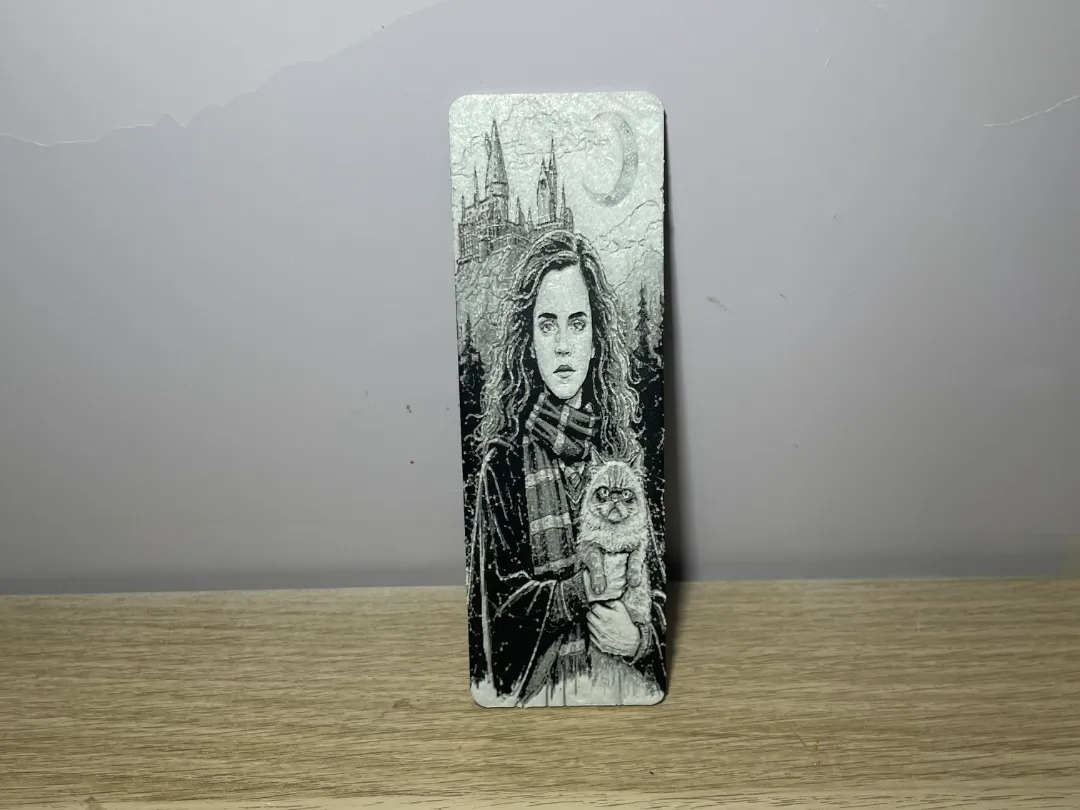 marcapáginas Hermione Harry Potter