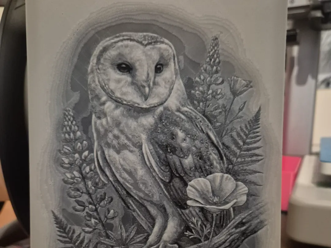 the owl