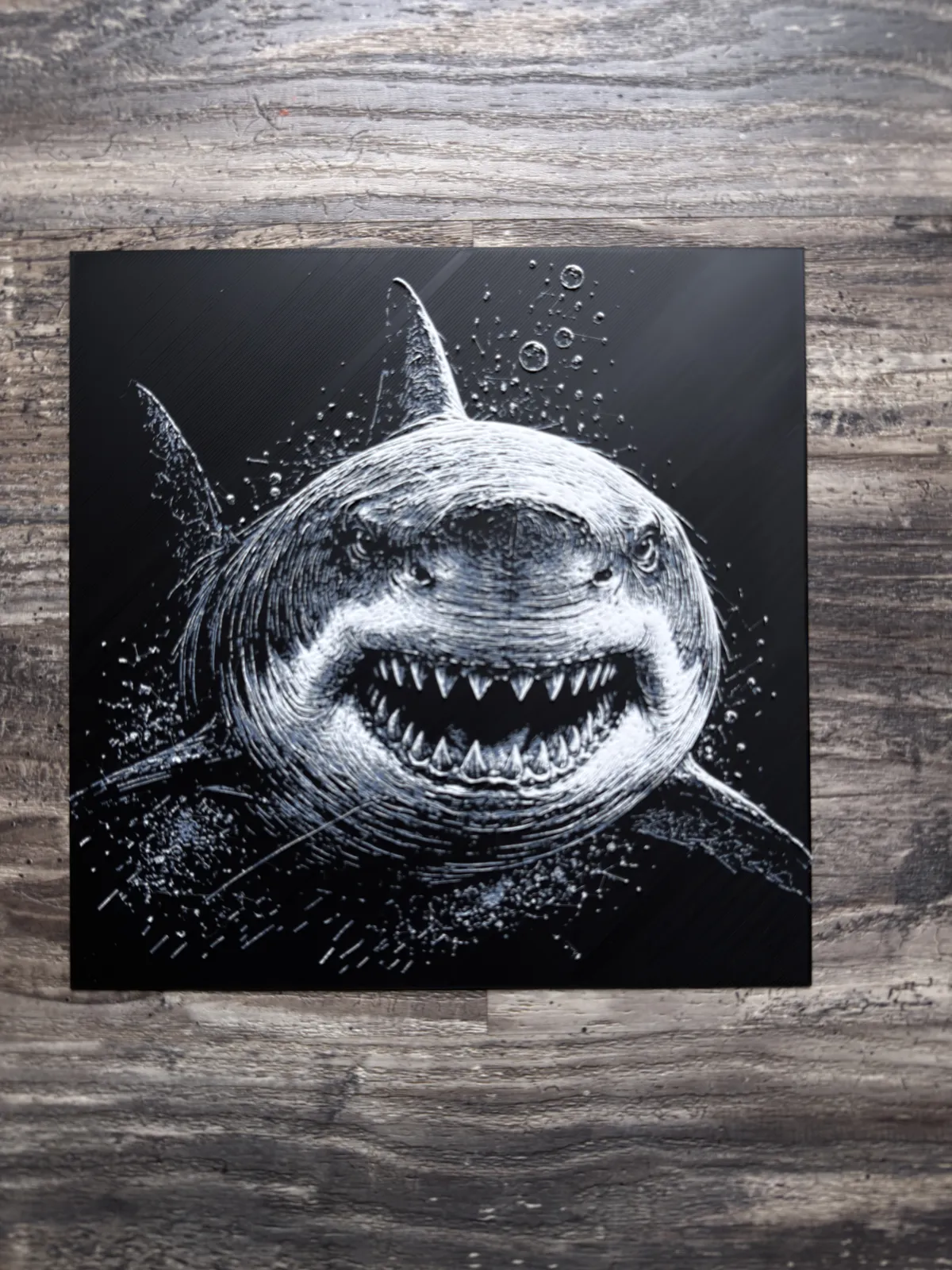Great White Shark HueForge Wildlife Series