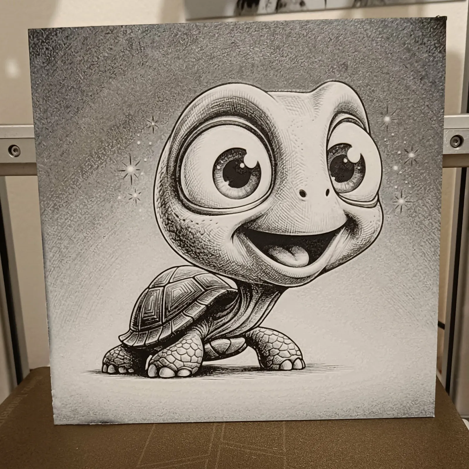 tortue