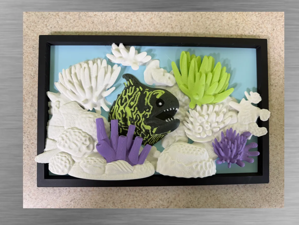 Moray in Frame with colored Corals