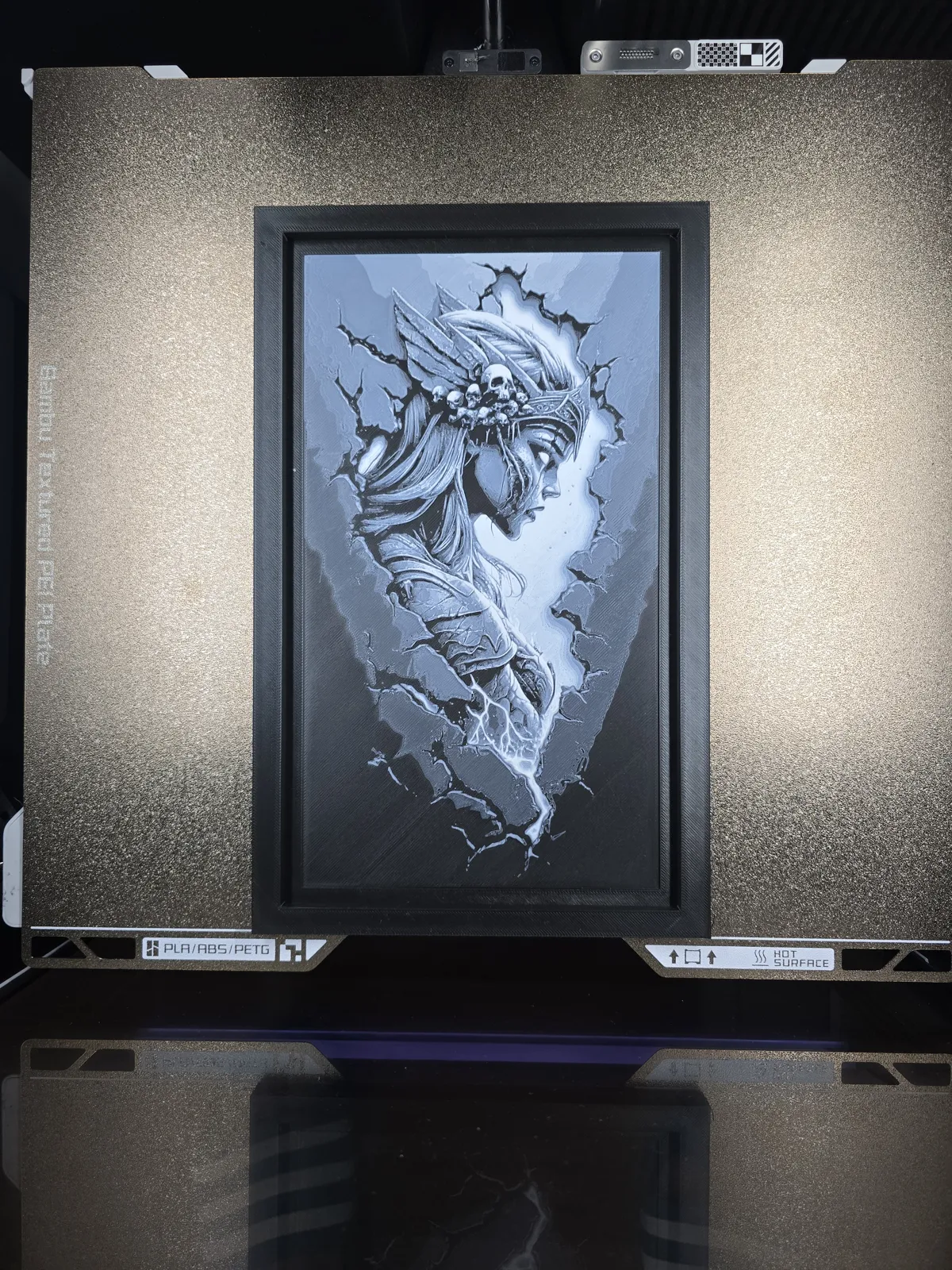 Valkyrie Warrior Wall Art & Frame Set