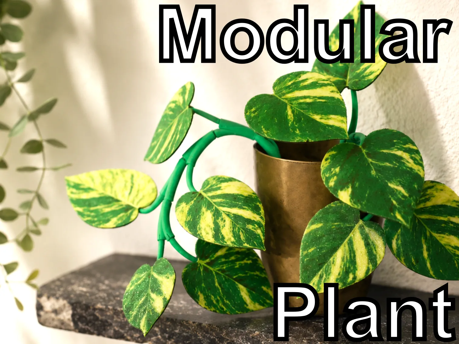 Modular Realistic Pothos Plant with Pot