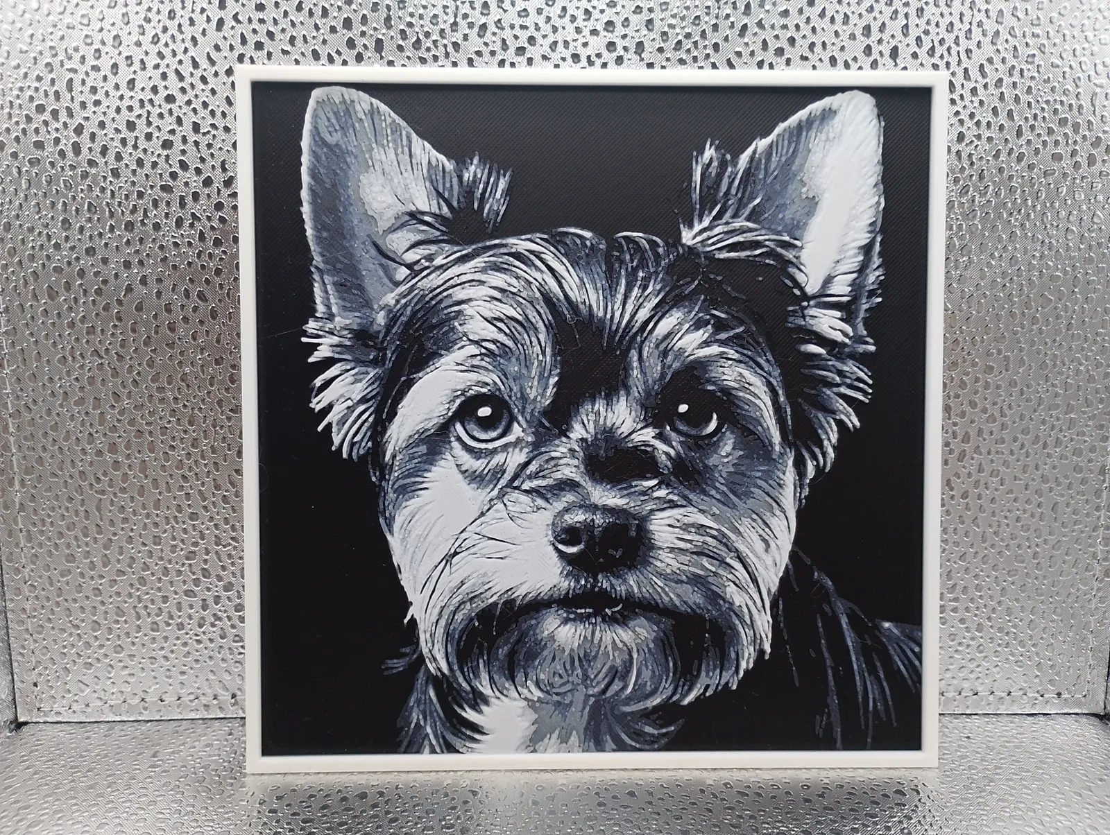 Biewer Yorkshire Terrier - Hueforge