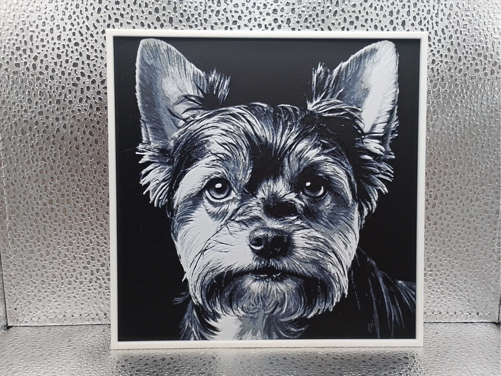 Biewer Yorkshire Terrier - Hueforge