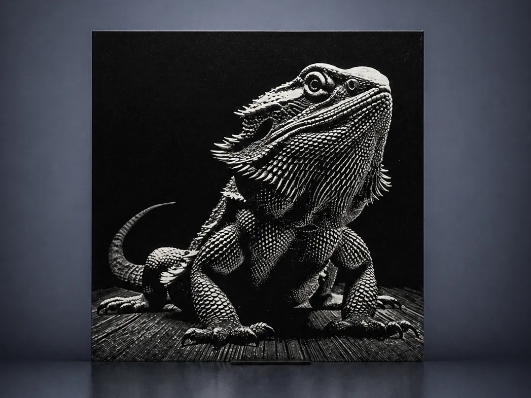 Bearded dragon