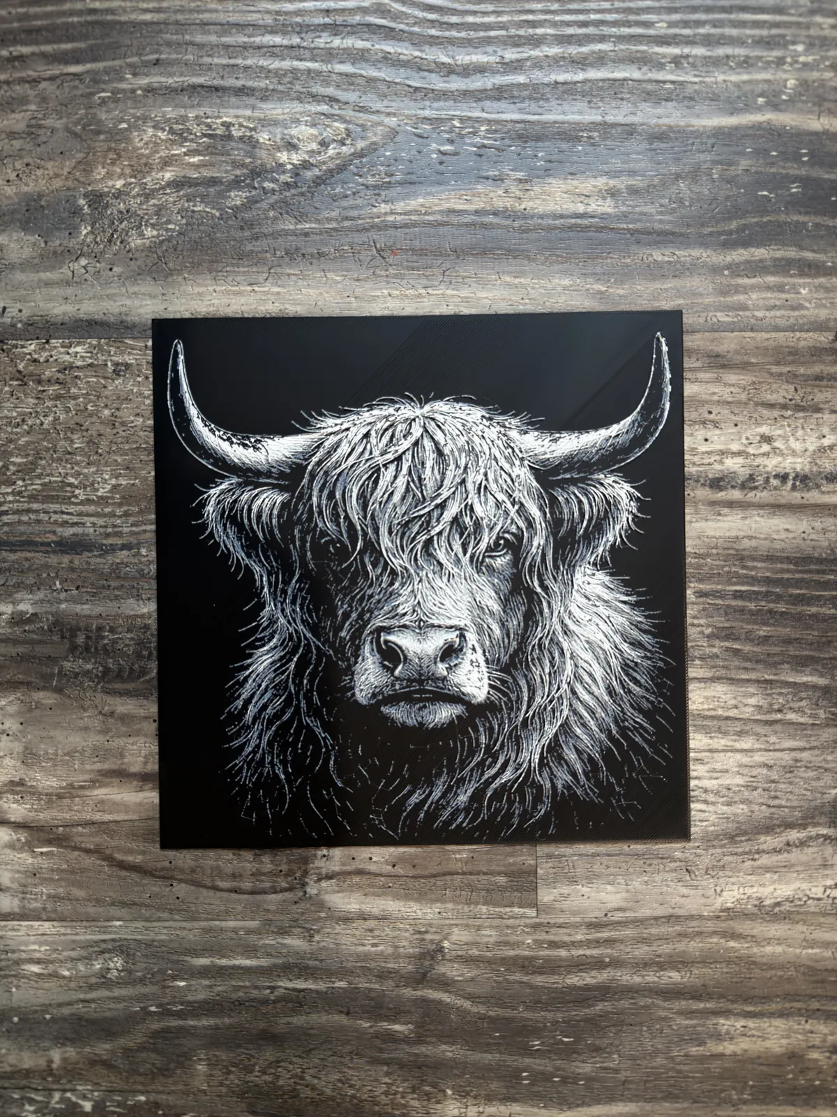 Highland Cow HueForge Wildlife Series