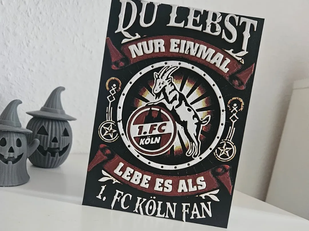 1 FC Köln Hueforge Bild