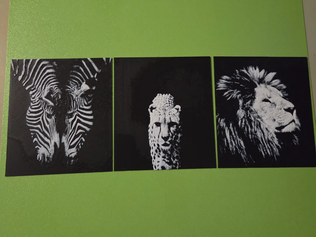 Zebra leopard Lion HueForge