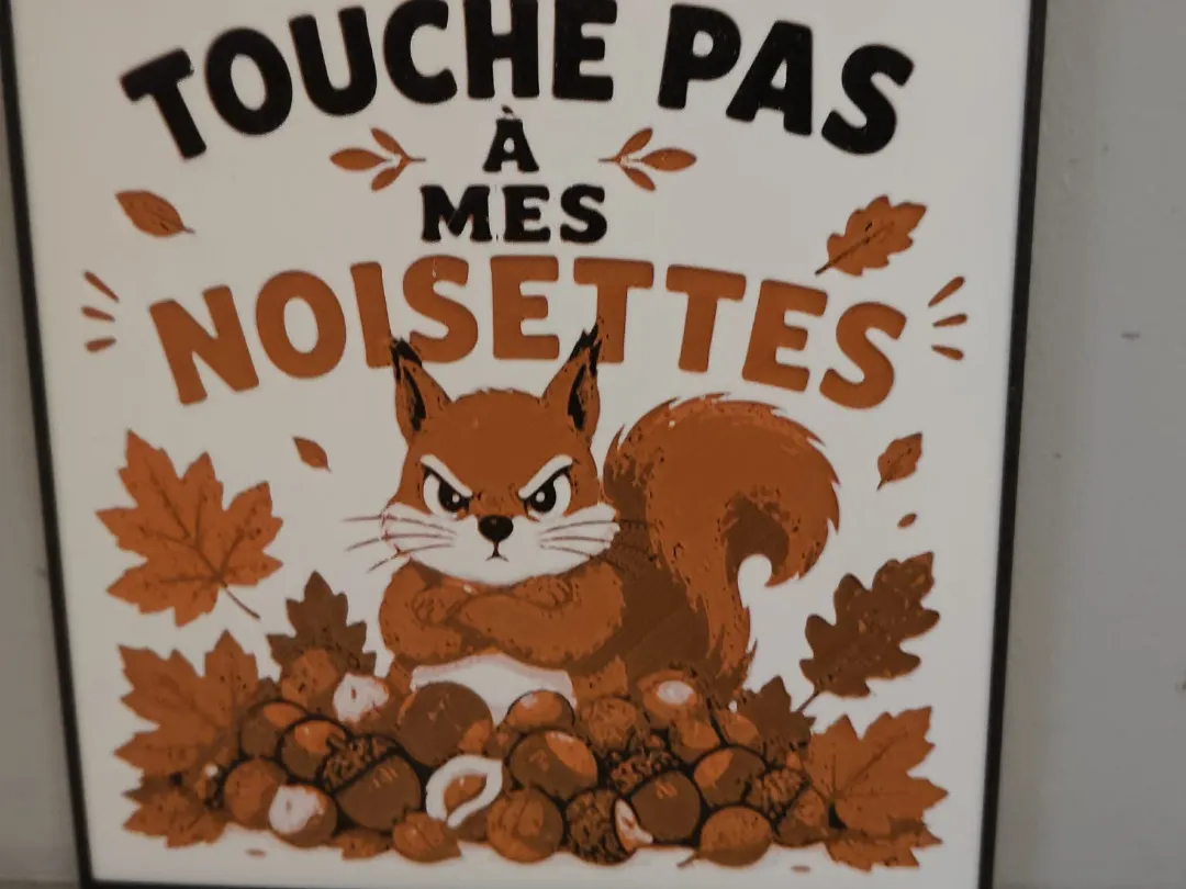 touche pas à mes noisettes