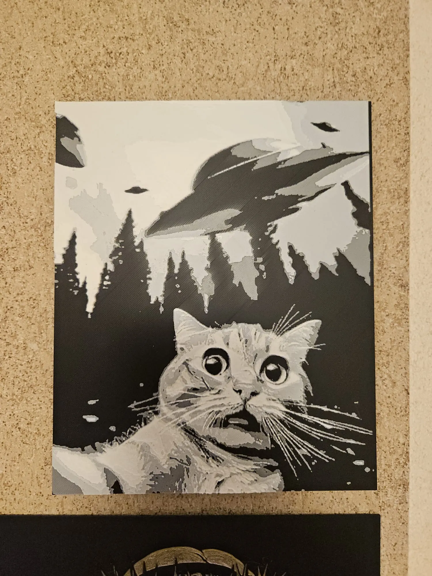 Ufo Cat - Hueforge