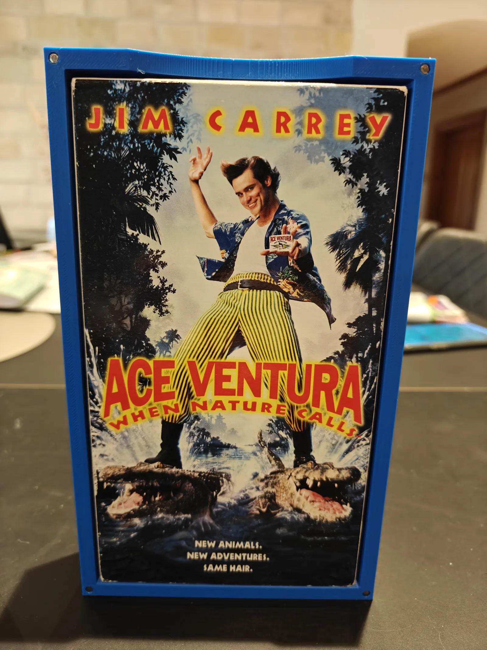 VHS Tape Wall Mount Display Box