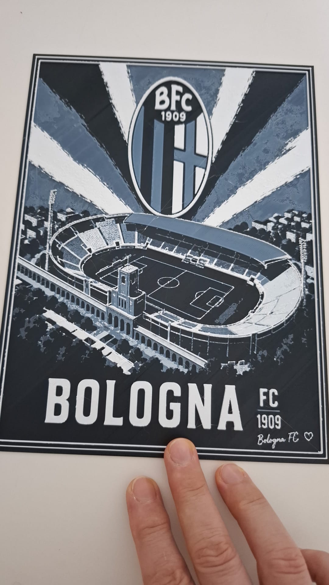 Lo Stadio | Cuore Rossoblù