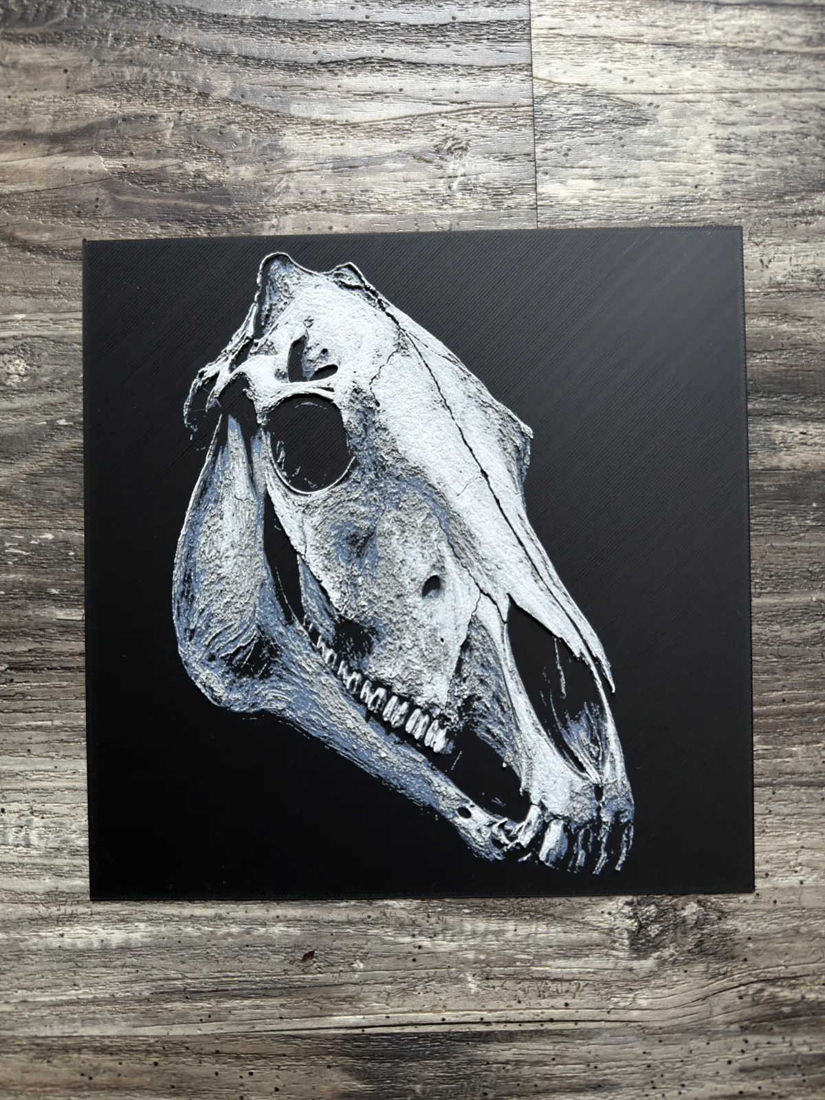 Horse Skull Series