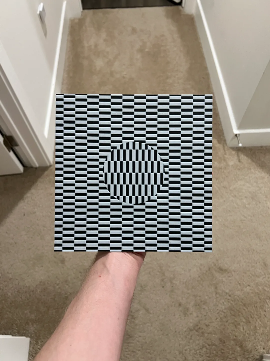 Optical Illusion Wall Art