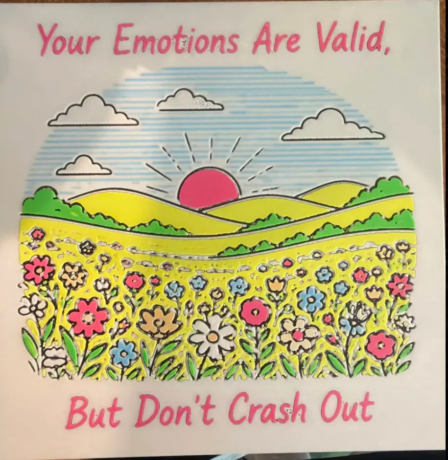 Your Emotions Are Valid, But Dont Crash Out