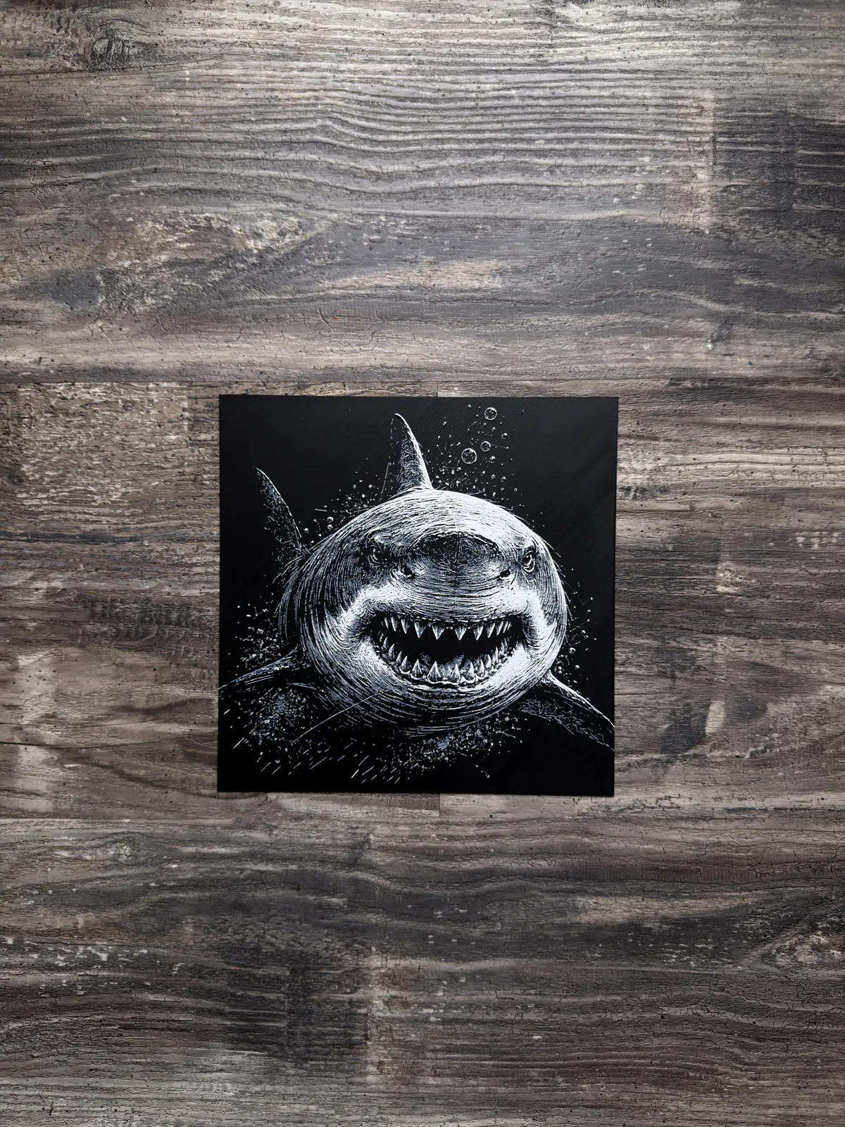 Great White Shark HueForge Wildlife Series