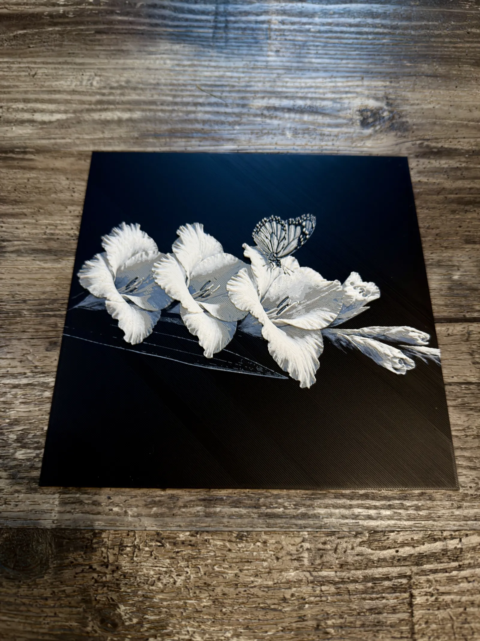 Gladiolus Flower Series