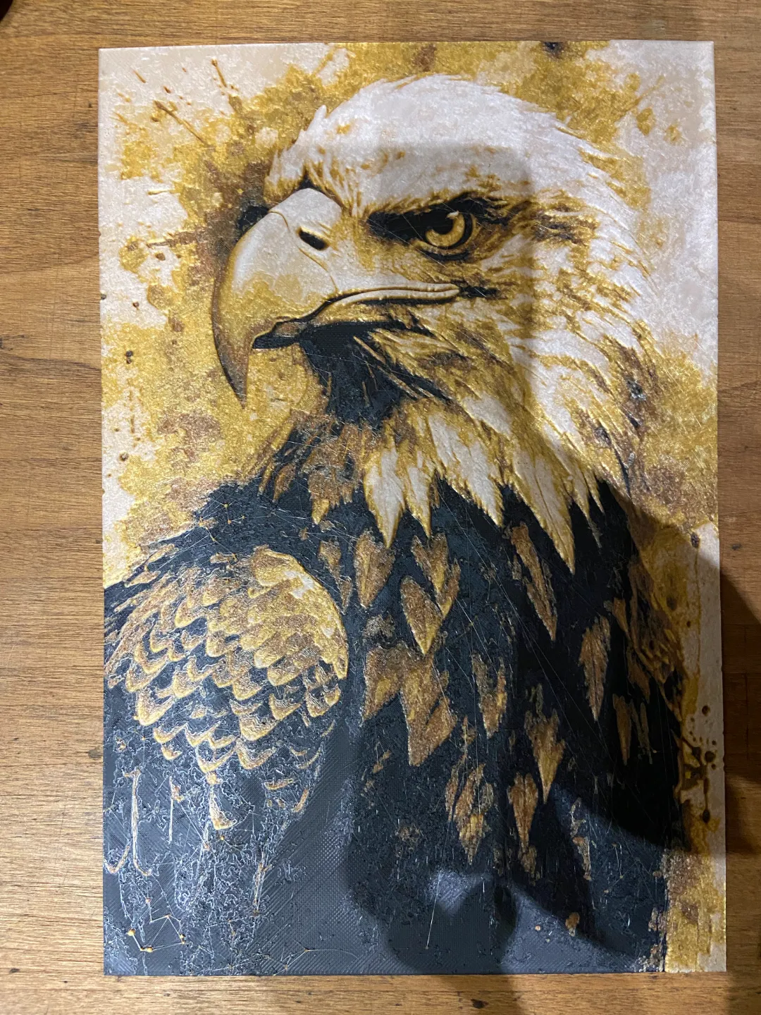 aigle / eagle
