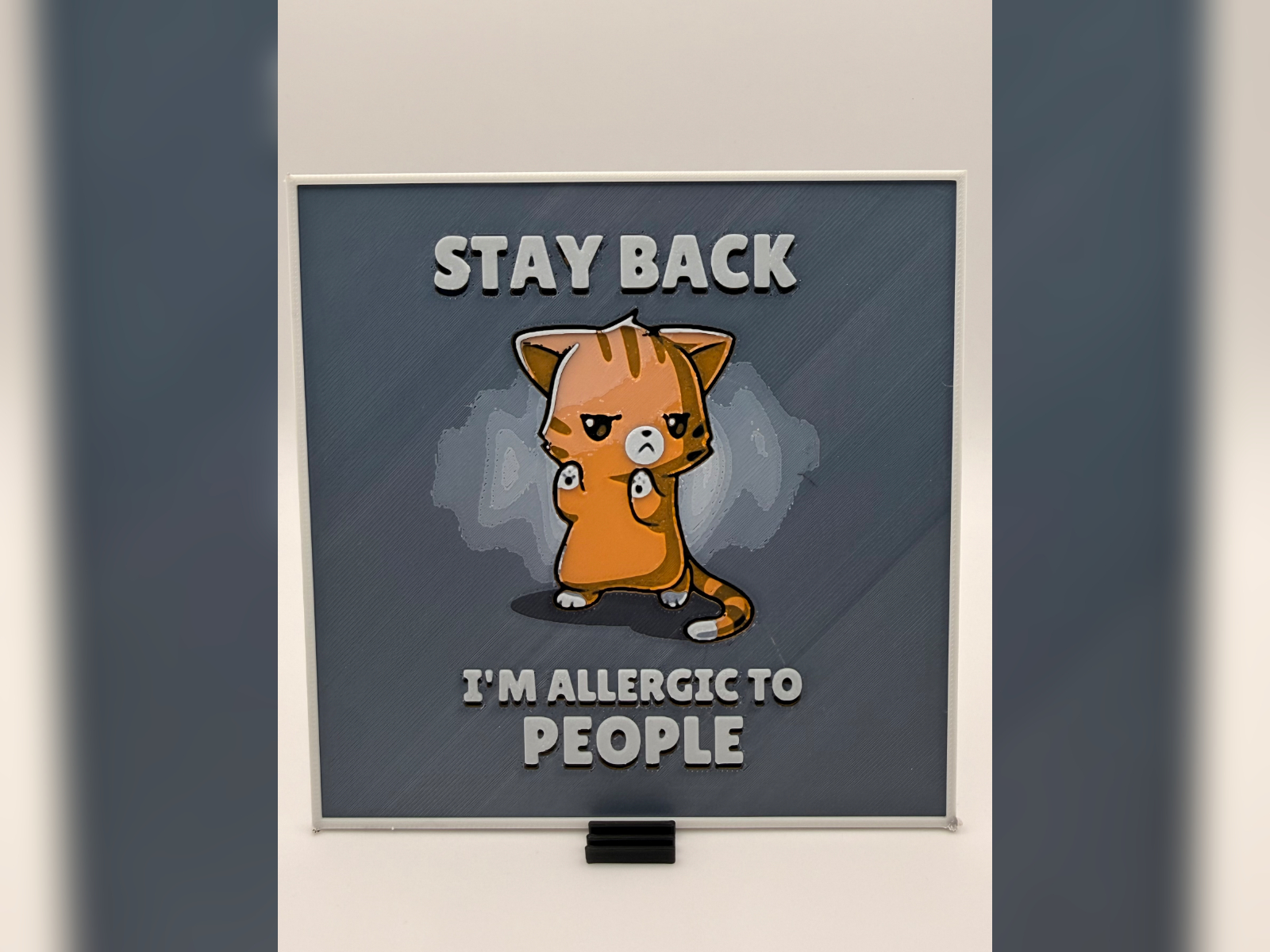 Stay Back Cat Quote HueForge Print