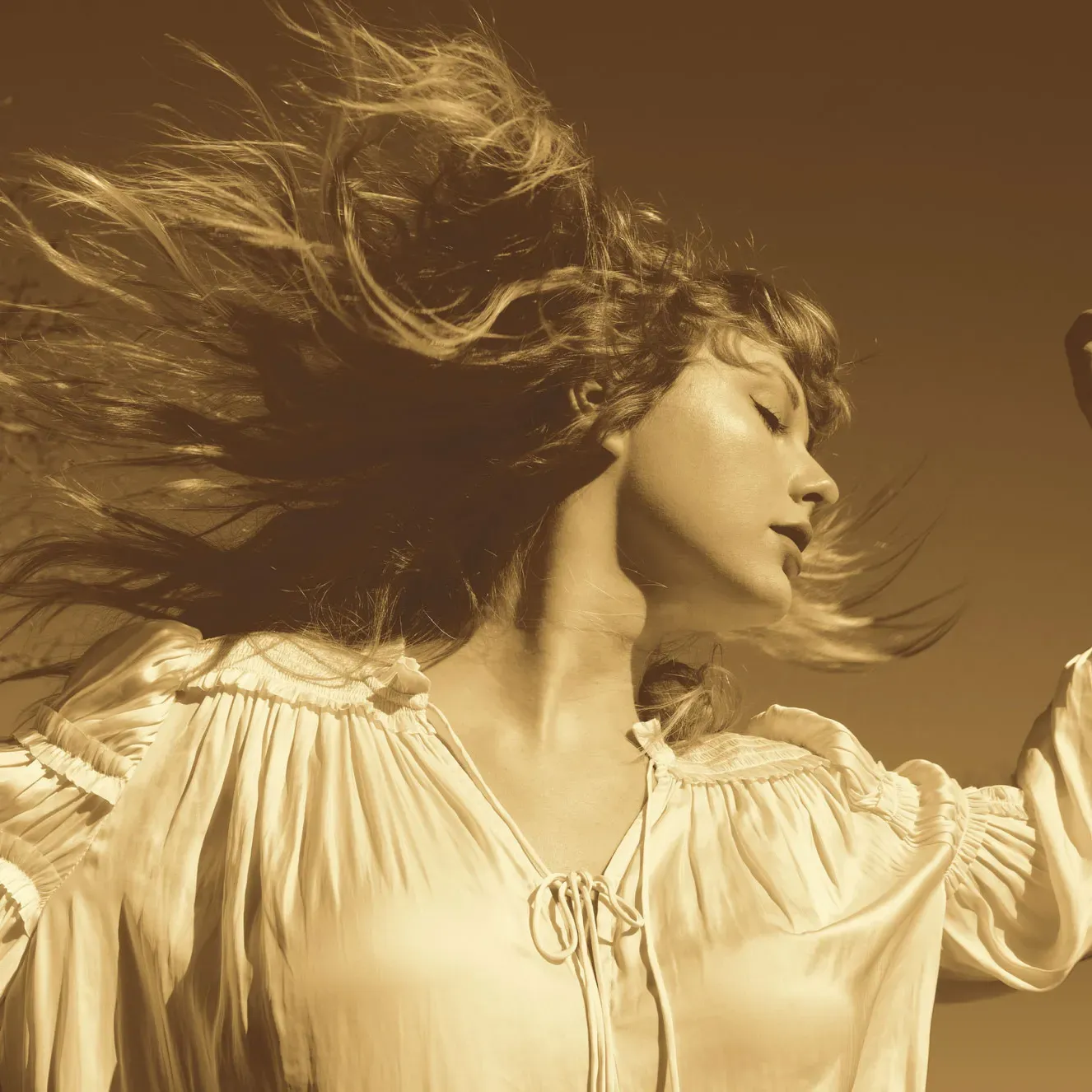 Taylor Swift Fearless (Taylor's Version) HueForge