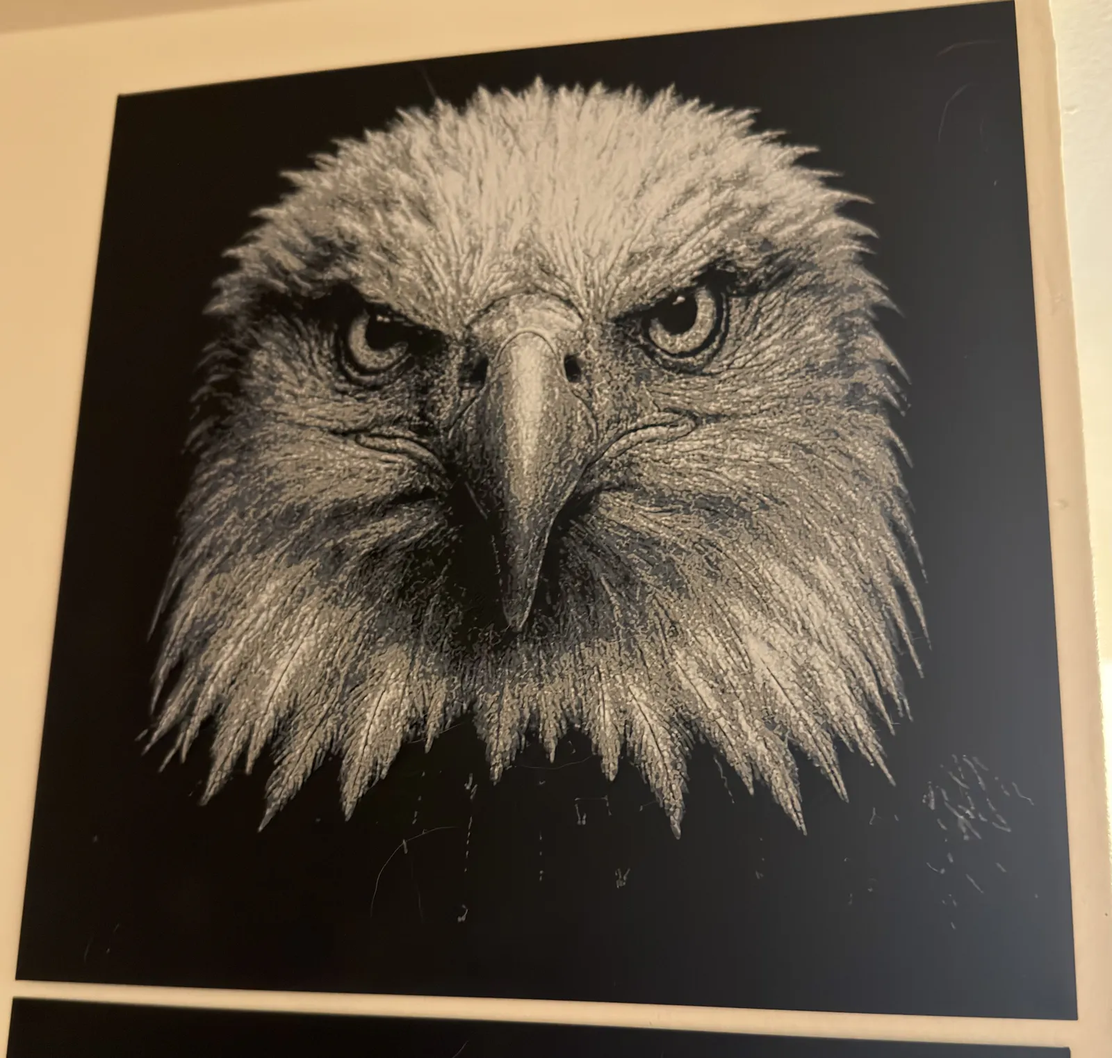 Hueforge Eagle