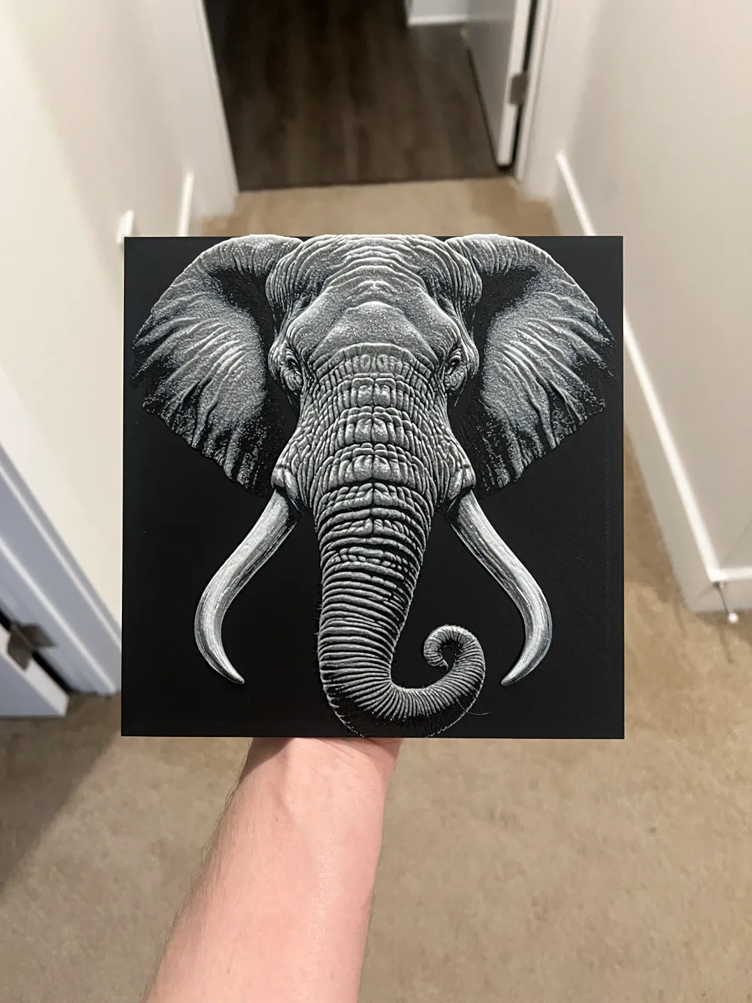 Elephant Face Wall Art