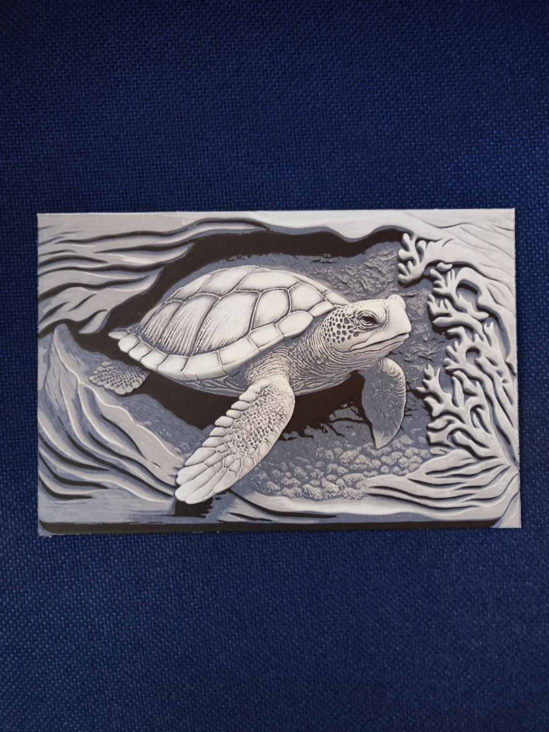 Sea turtle
