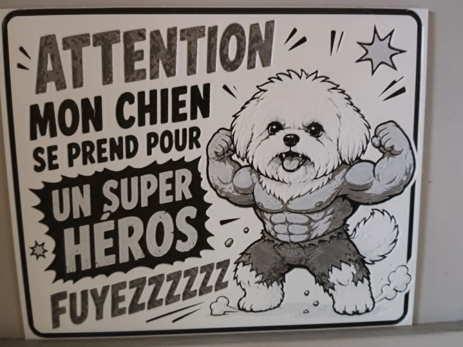 hulk coton de tulear