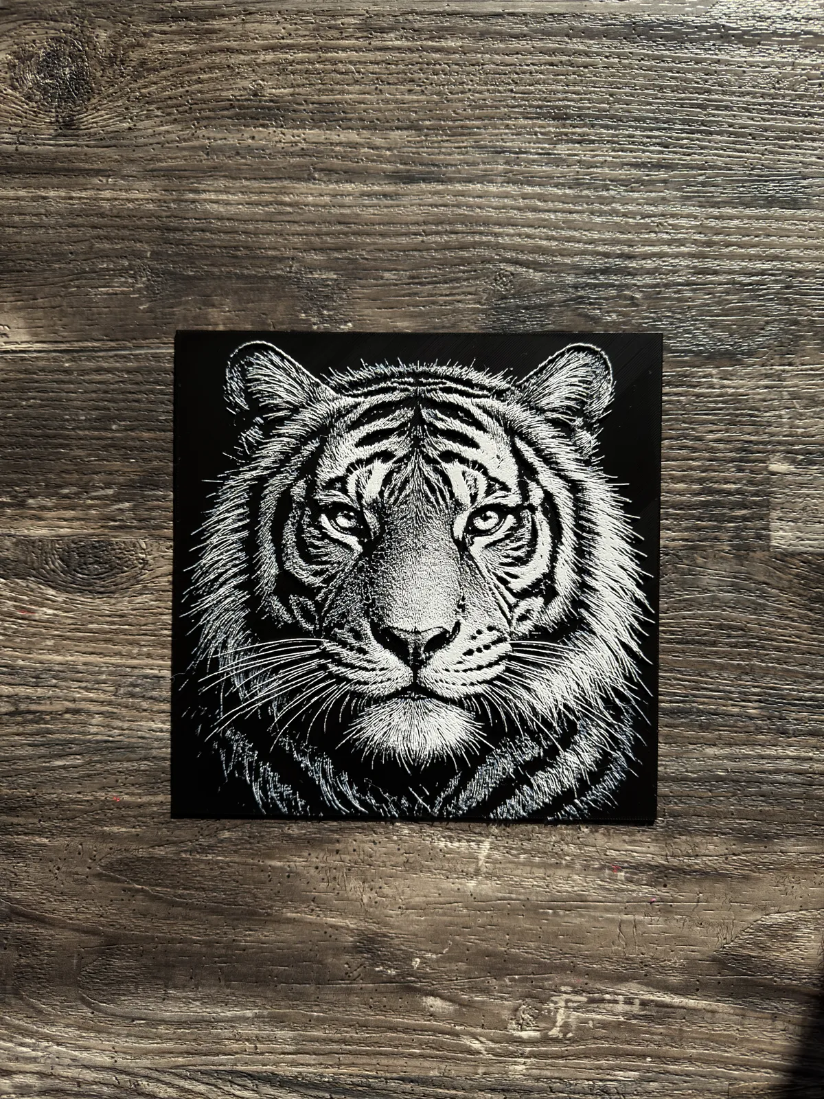 Tiger HueForge Wildlife Series