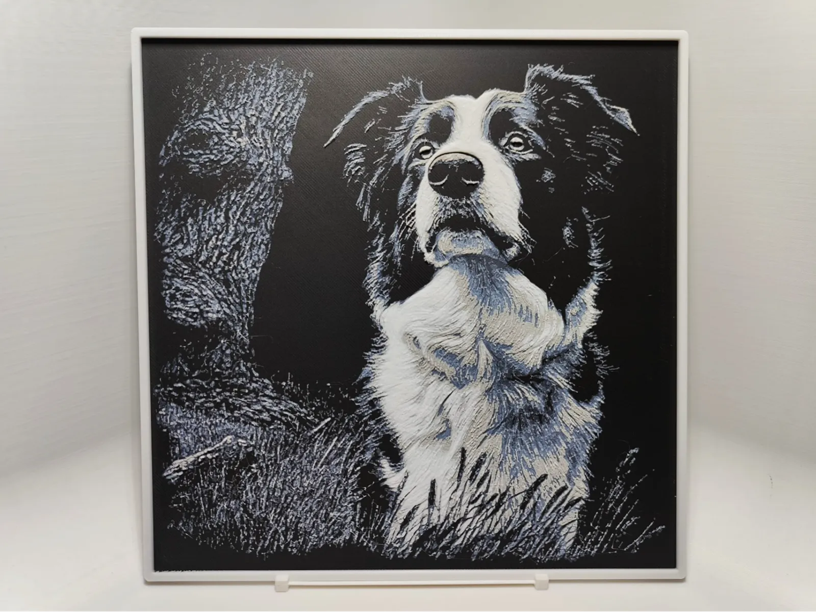 Border Collie - Hueforge