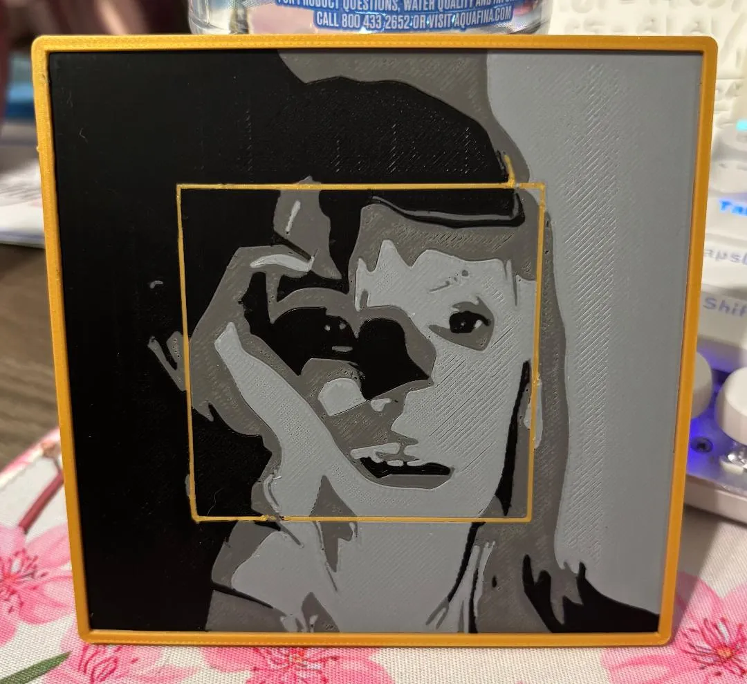 Hayley Williams EDAABP Cover Coaster